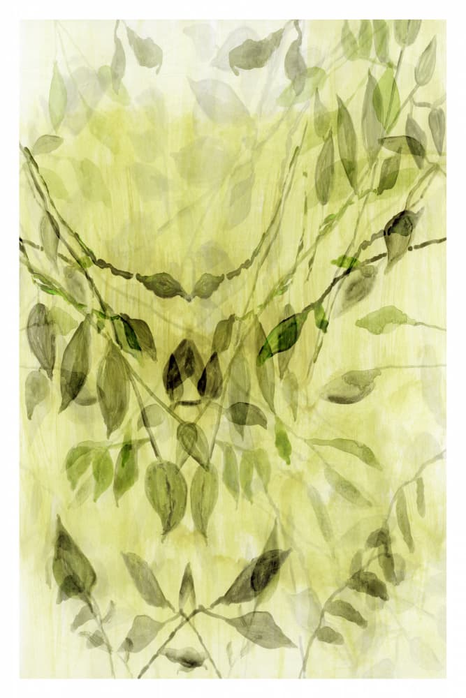 Ethereal Green Foliage by cartissi — canvas wall art