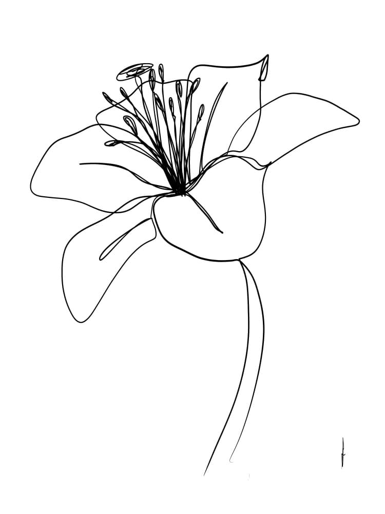 Elegant Line Flower by Ankie Kooi — canvas wall art