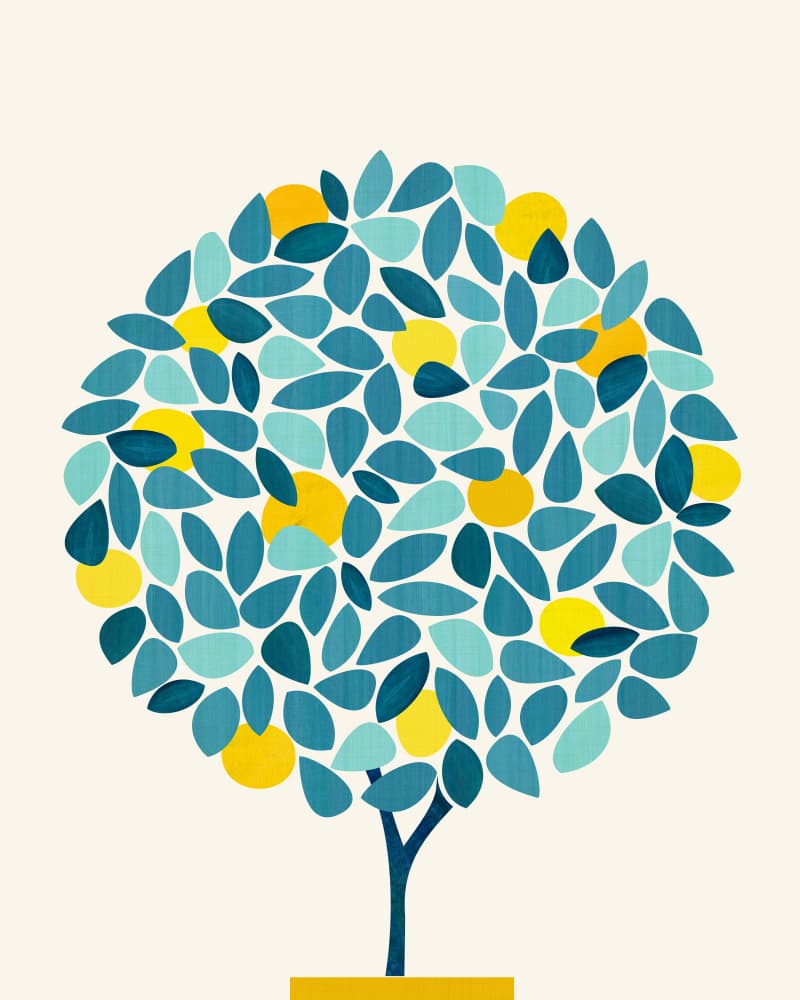 Lemon Tree Topiary 1.png by Kristian Gallagher — canvas wall art