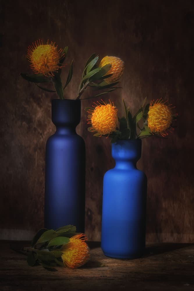 Orange Blooms in Blue by Saskia Dingemans — canvas wall art