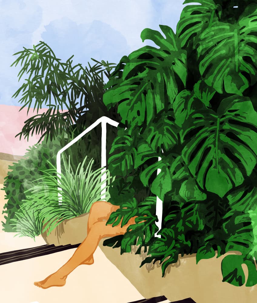 Tropical Oasis Legs by Uma Gokhale — canvas wall art
