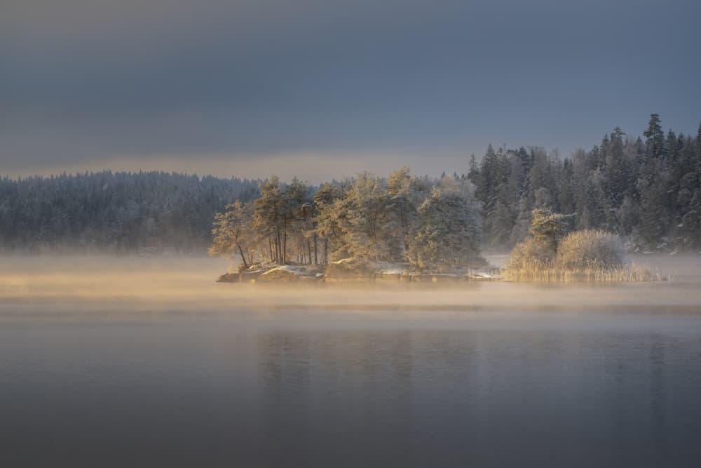 Golden Winter Lake Fog by Benny Pettersson — canvas wall art