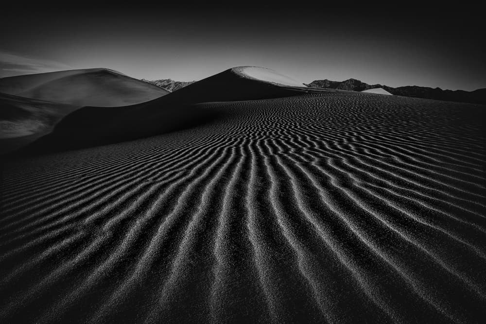 Desert Dune Patterns by Lydia Jacobs — canvas wall art