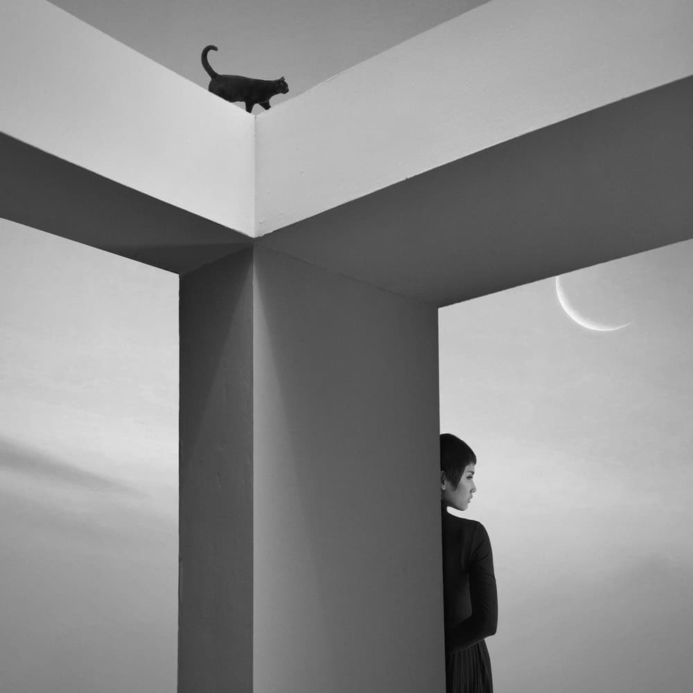Mysterious Cat and Moon by hardibudi — canvas wall art