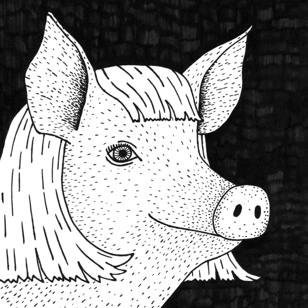 Charming Pig Character by Martina Scott — canvas wall art