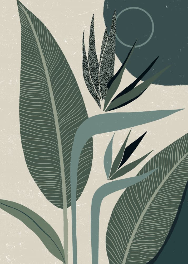 Modern Bird of Paradise by Katarzyna Gąsiorowska — canvas wall art