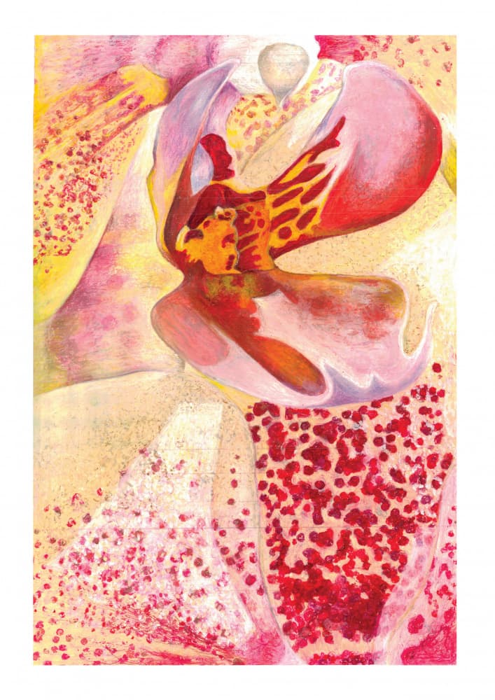 Vibrant Orchid Bloom by Julia Holmes — canvas wall art