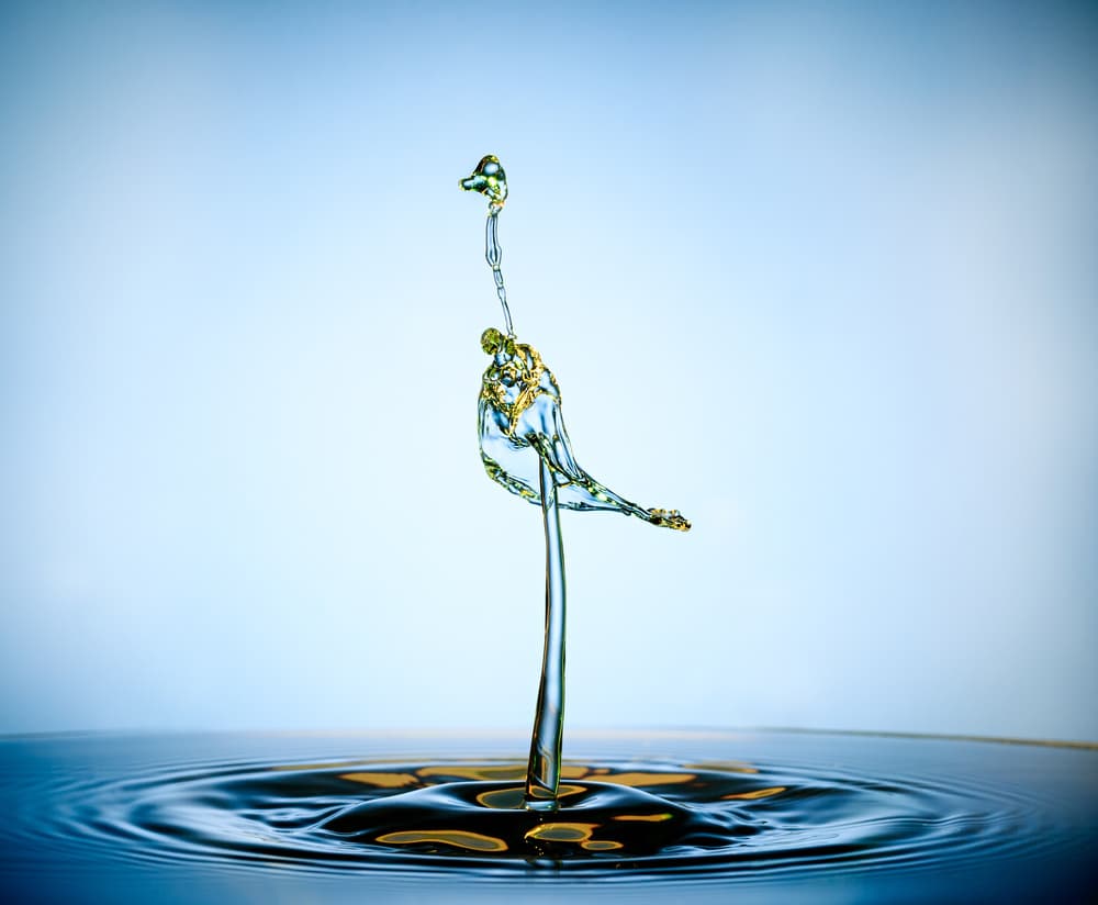 Water Bird Splash by Howard Ashton-Jones — canvas wall art