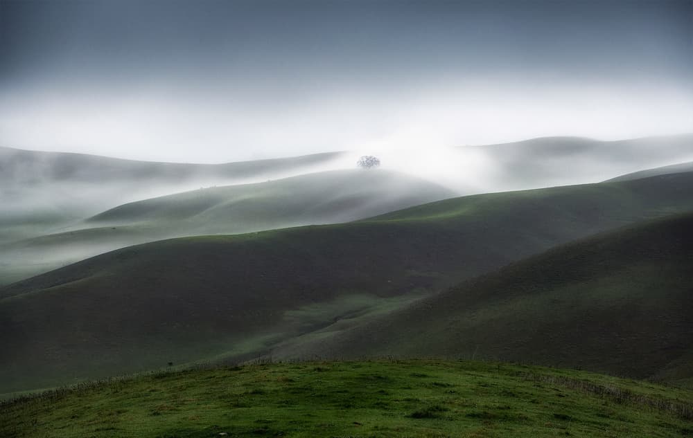 Misty Rolling Hills by Aidong Ning — canvas wall art