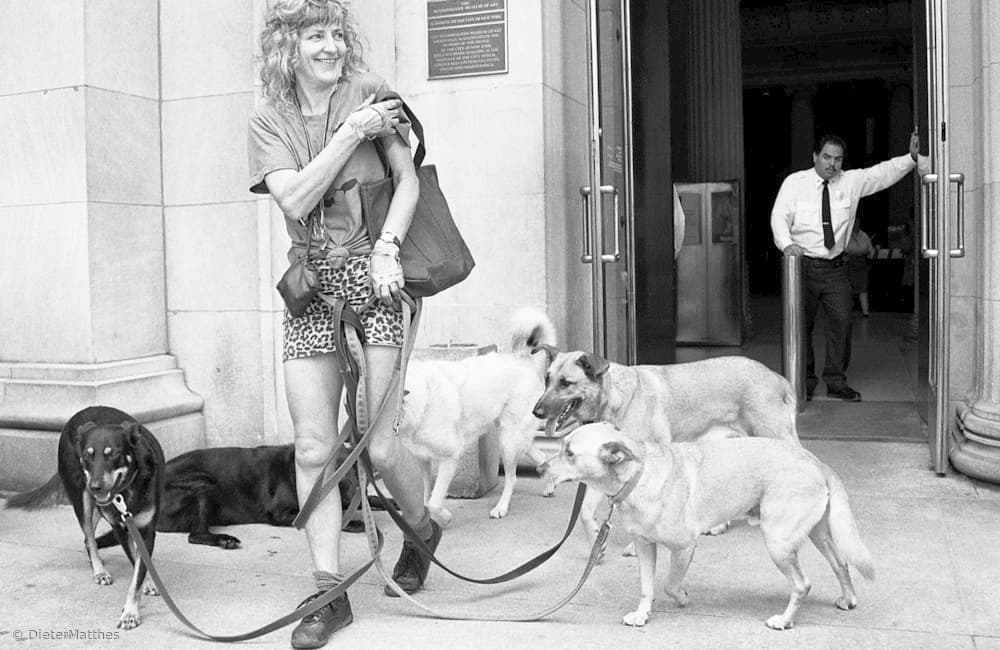 Happy Dog Walker by Dieter Matthes — canvas wall art
