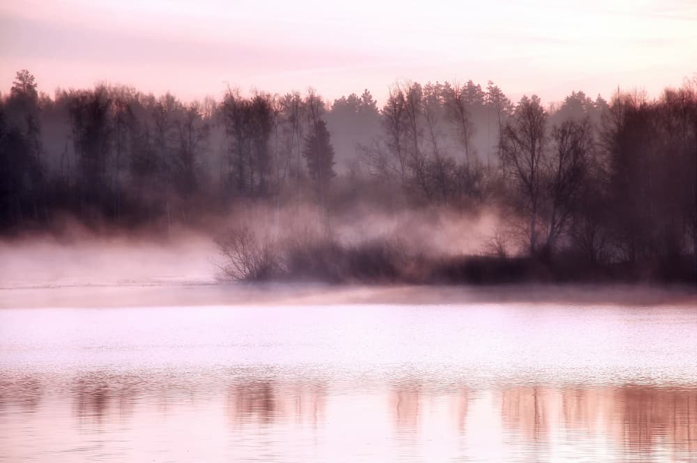 Misty Pink Dawn by Zina Heg — canvas wall art