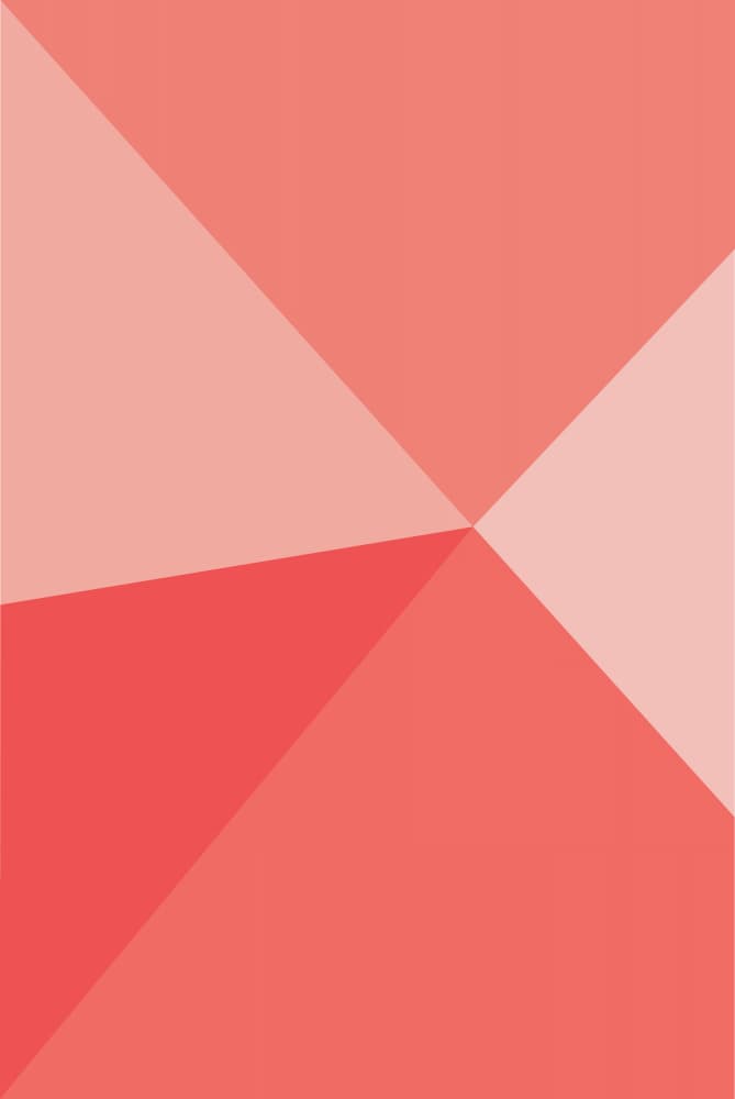 Modern Coral Geometry by Oju Design — canvas wall art