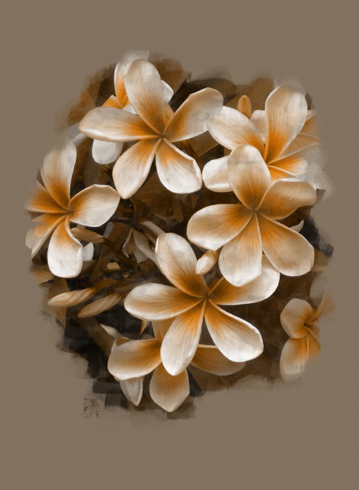 Tropical Plumeria Blooms by Osvaldo Russo — canvas wall art