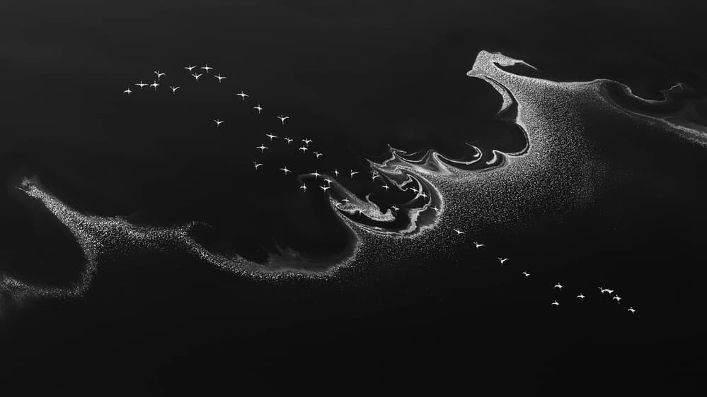 Flamingos Over Abstract Water by Jun Zuo — canvas wall art
