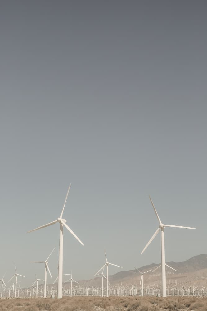 Windmill Symphony by Shot by Clint — canvas wall art