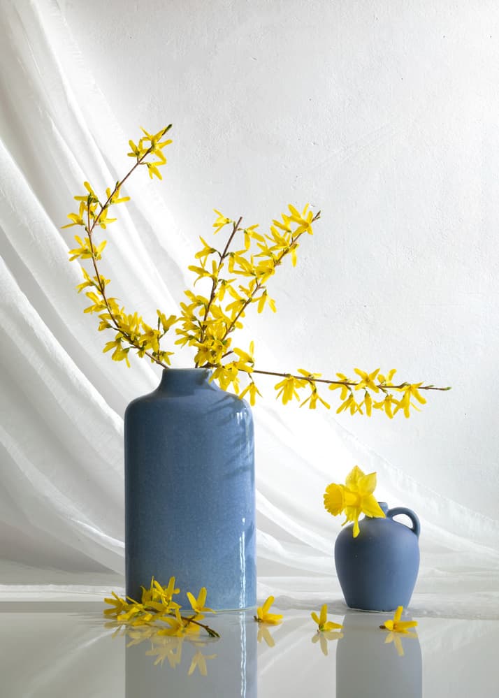 Yellow Blooms In Blue Vases by Wendy Xu — canvas wall art
