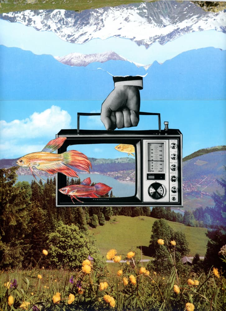 Surreal Fish TV Landscape by Betty Klaasse — canvas wall art