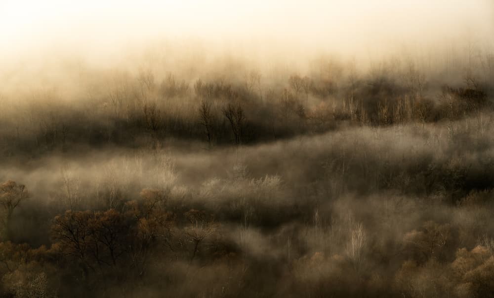 Golden Morning Mist by Riccardo Lucidi — canvas wall art
