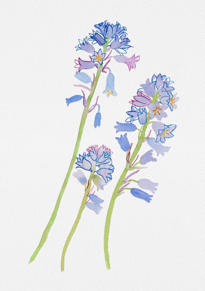 Botanical Blue Blossoms by Kata Botanical — canvas wall art