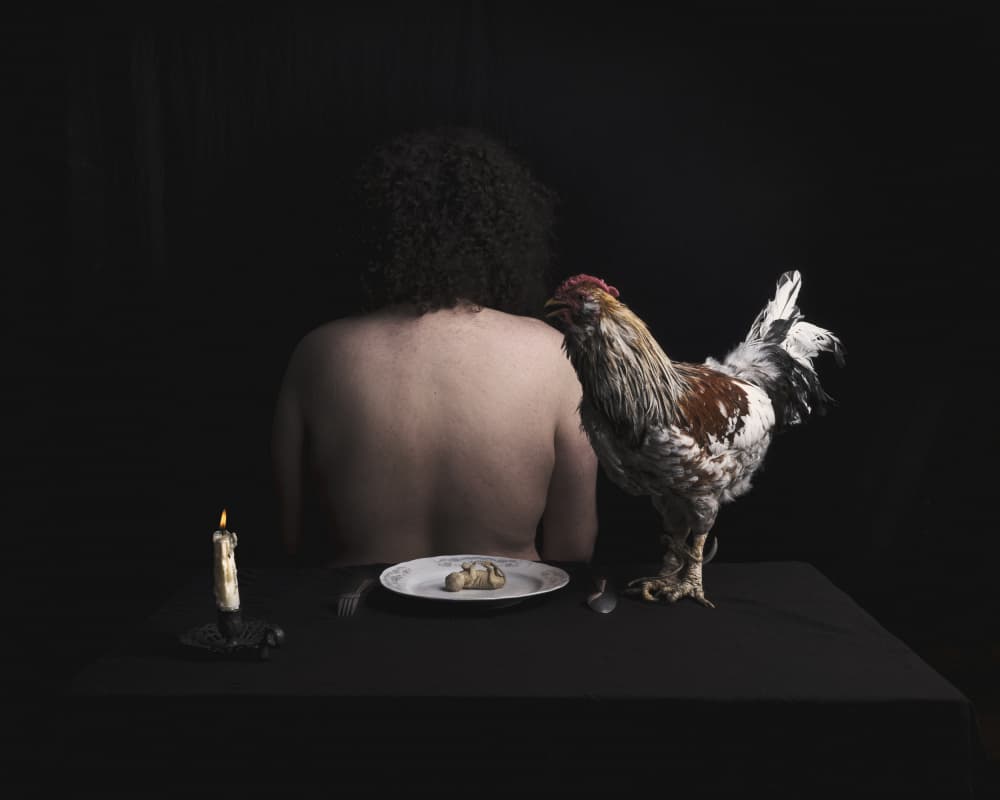 Rooster Candlelight Meal by Hooman Sedaghi — canvas wall art