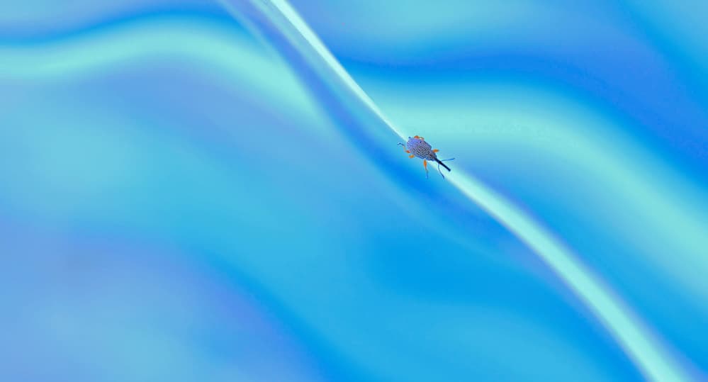 Blue Insect On Wave by Thierry Dufour — canvas wall art