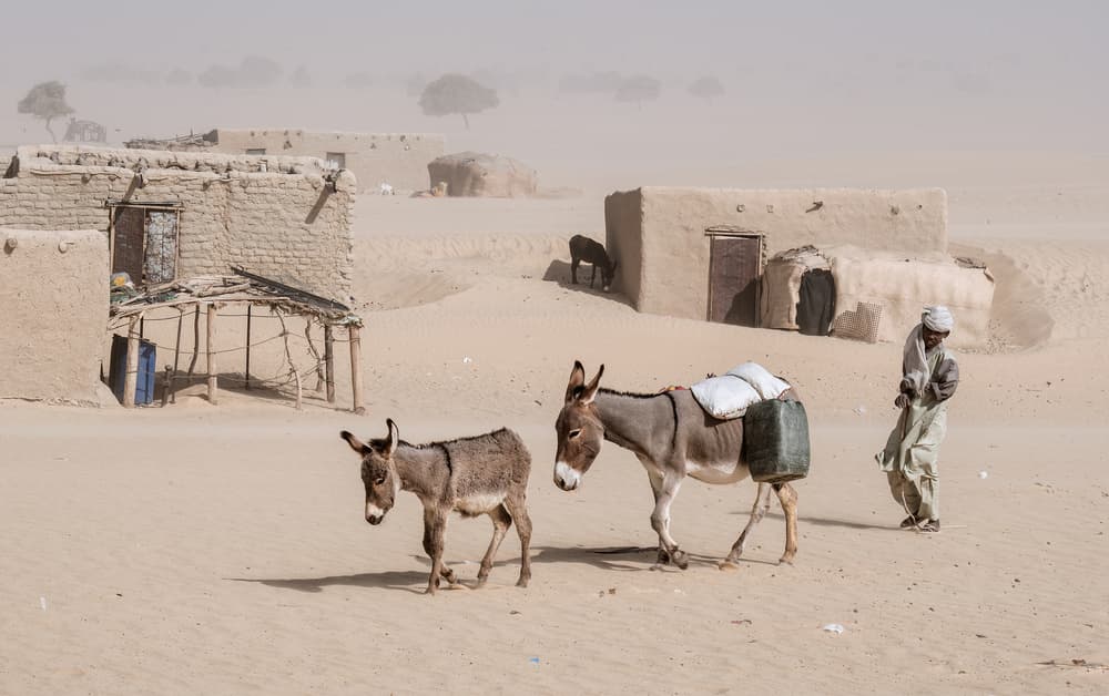 Dusty Desert Village Life by Joxe Inazio Kuesta Garmendia — canvas wall art
