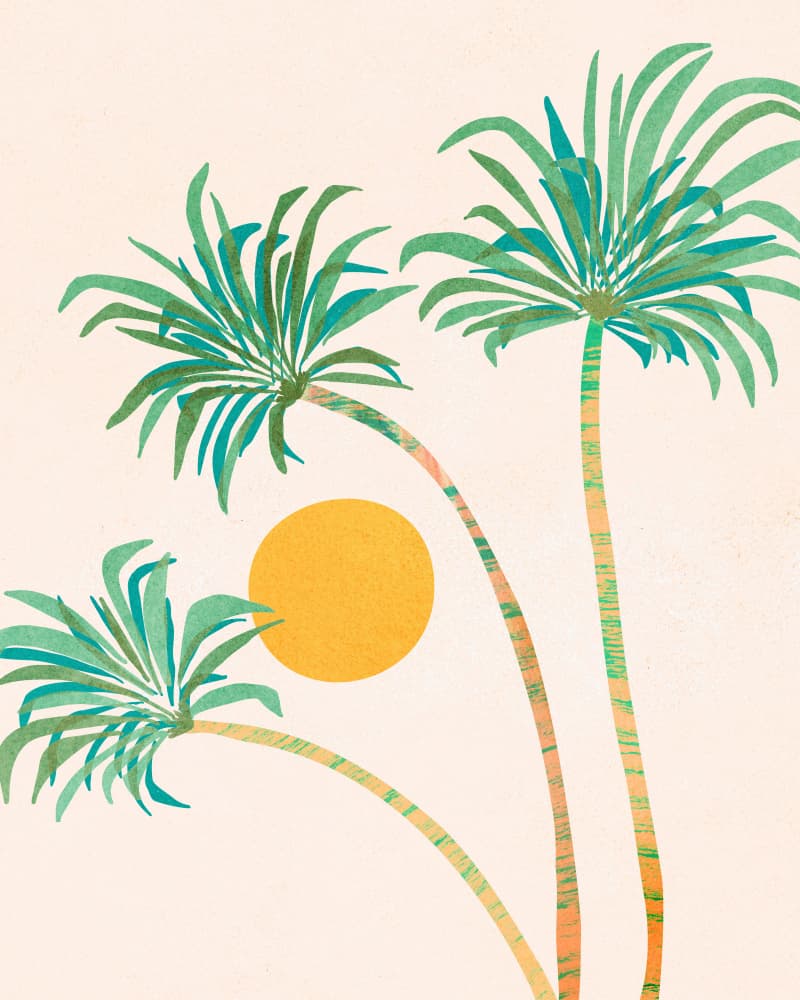 Socal Palms 2 by Kristian Gallagher — canvas wall art