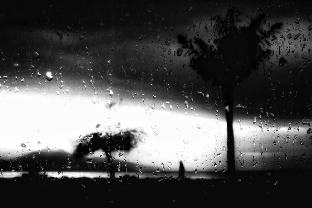 Rainy Day Silhouettes by Ali Ayer — canvas wall art
