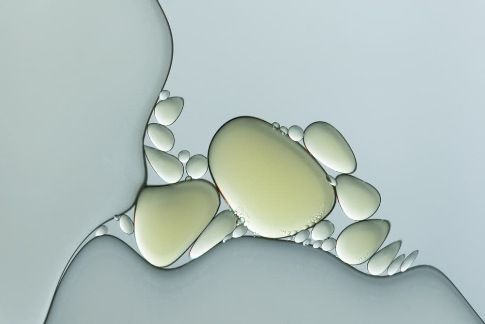 Gentle Fluid Shapes by Piet Haaksma — canvas wall art