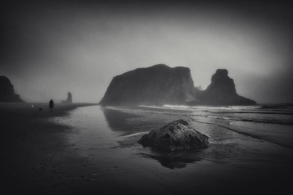 Misty Coastal Walk by Lydia Jacobs — canvas wall art