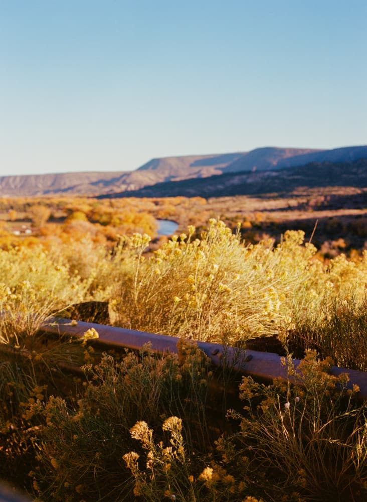 Golden River Valley by Bethany Young — canvas wall art