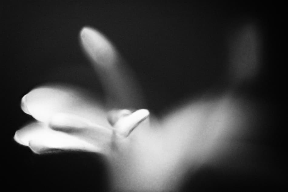 Ethereal Hand Form by Codrin Lupei — canvas wall art