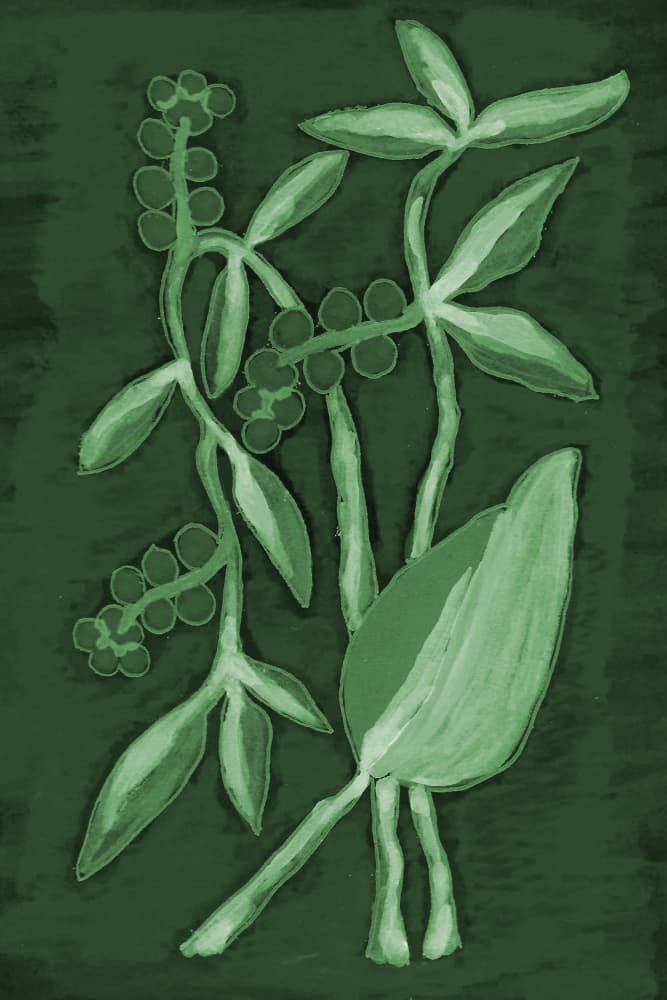 Botanical Shades of Green by Lori Ann Folz — canvas wall art