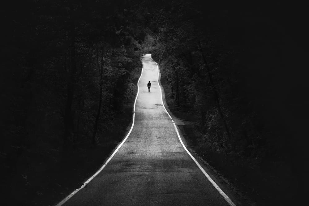 Solitary Path Ahead by Damijan Sedevcic — canvas wall art