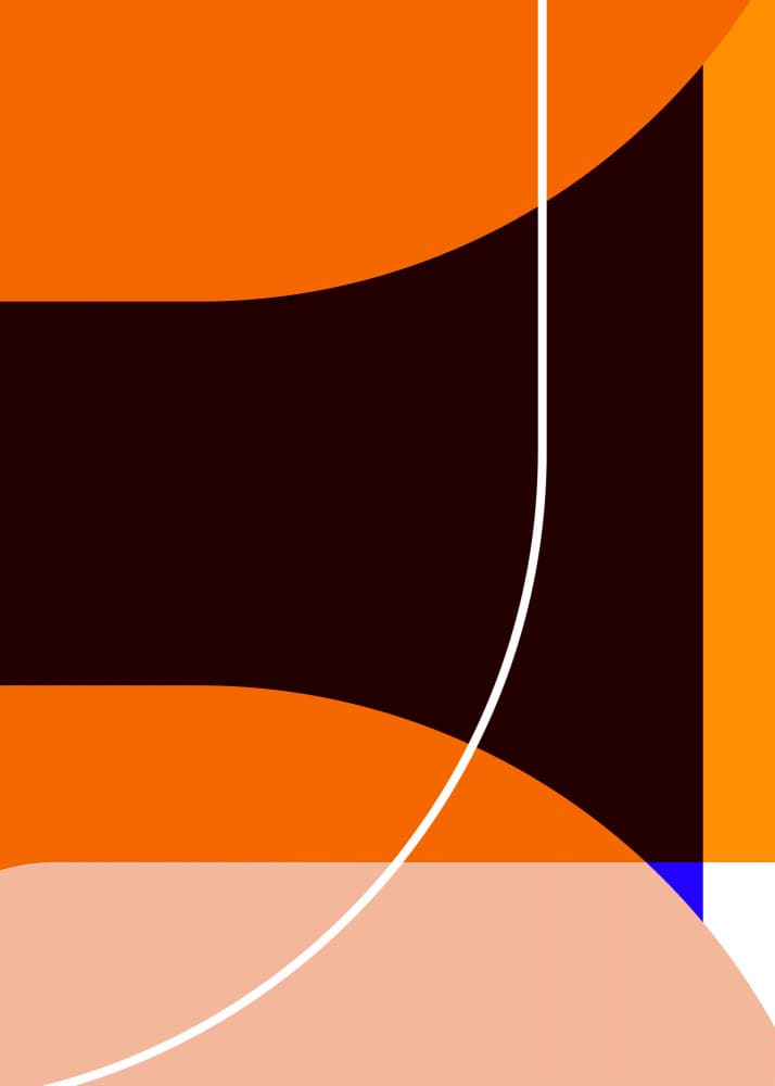 Orange Geometric Curves by Leigh Bagley — canvas wall art
