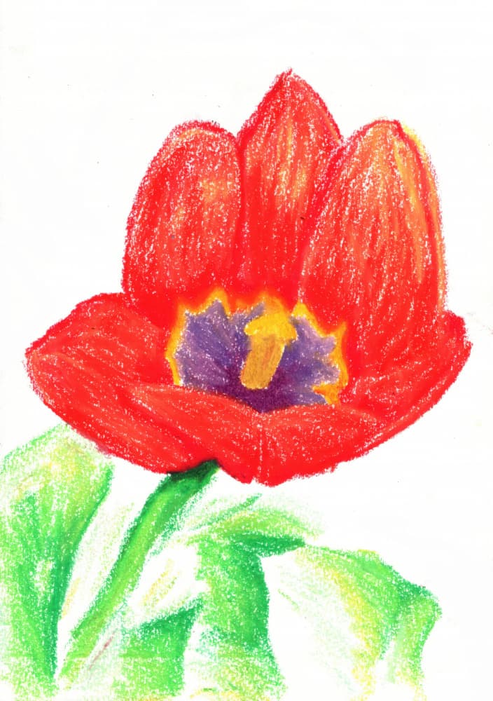 Vibrant Red Tulip by Kulik — canvas wall art