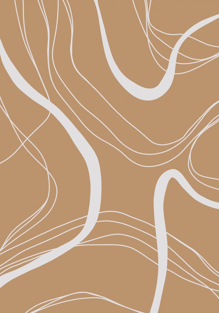 Flowing Abstract Lines by Veronika Boulová — canvas wall art