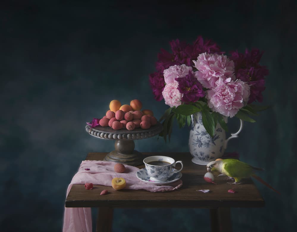Parrot's Table Treat by Catherine Wang — canvas wall art