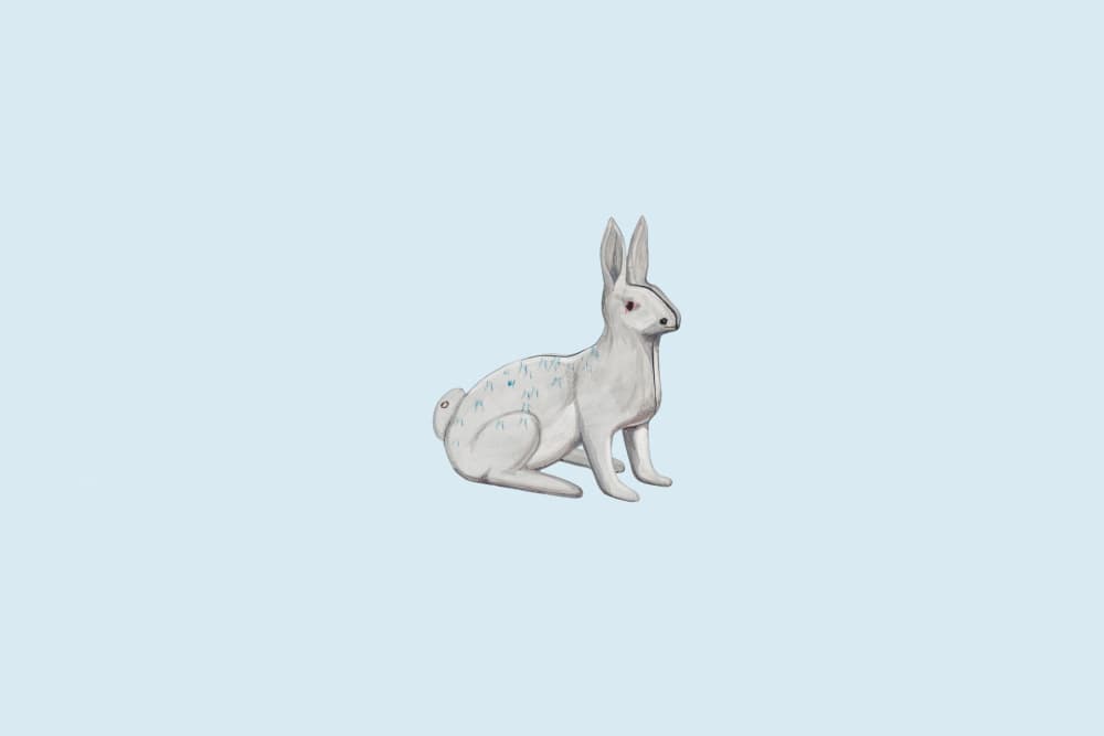 Serene White Rabbit by Wild Violets — canvas wall art