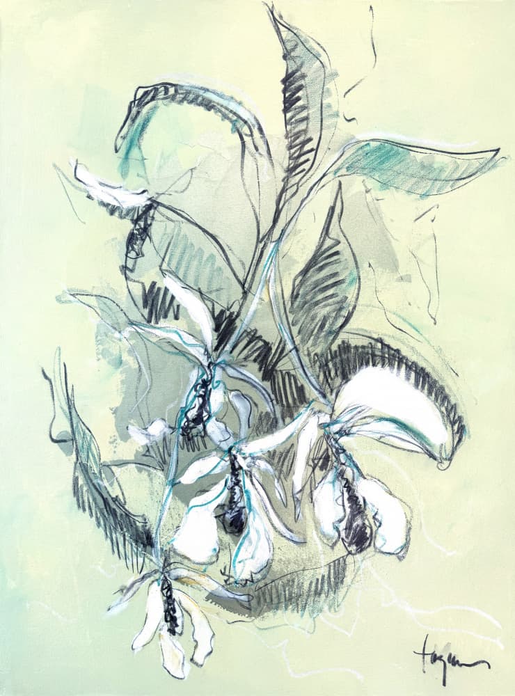 Delicate Orchid Sketch by Dorothy Fagan — canvas wall art