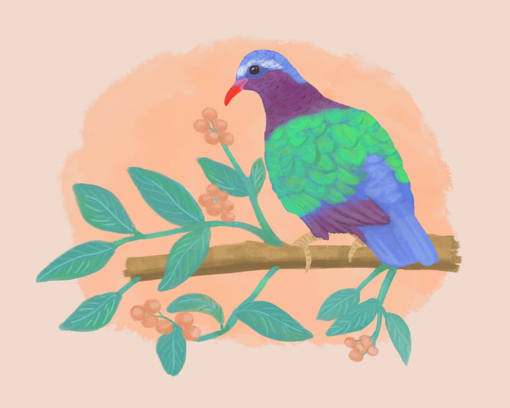 Vibrant Tropical Bird by Aliya Putrus — canvas wall art