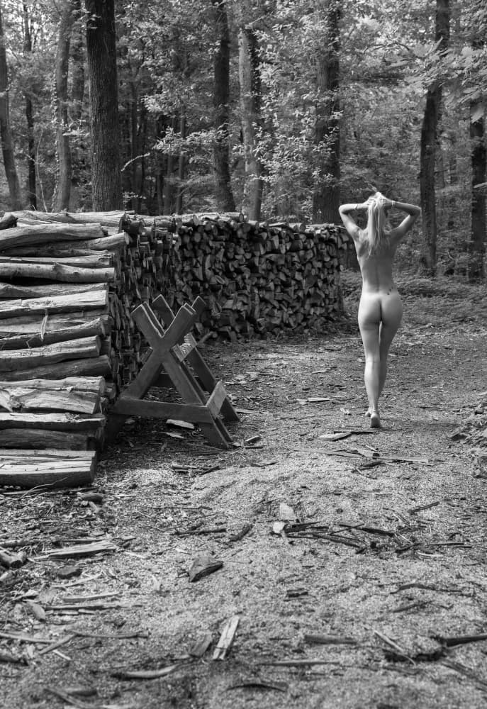 Walking in the forest by PHILIPPE GODFROID — canvas wall art