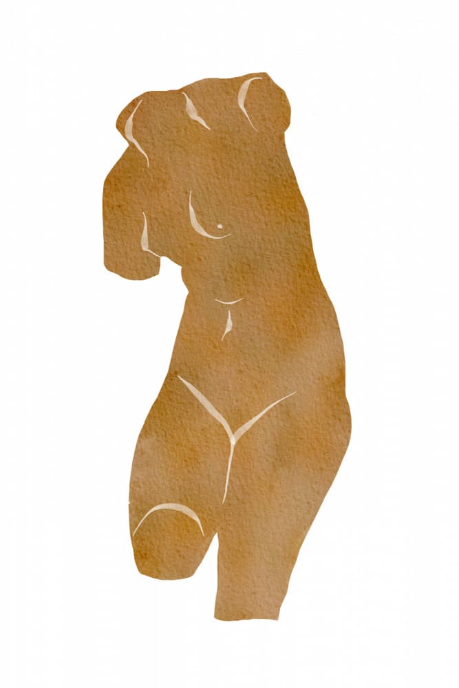 Warm Feminine Form by Melloi Art Prints — canvas wall art