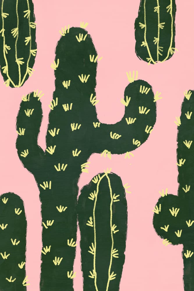 Cactuses