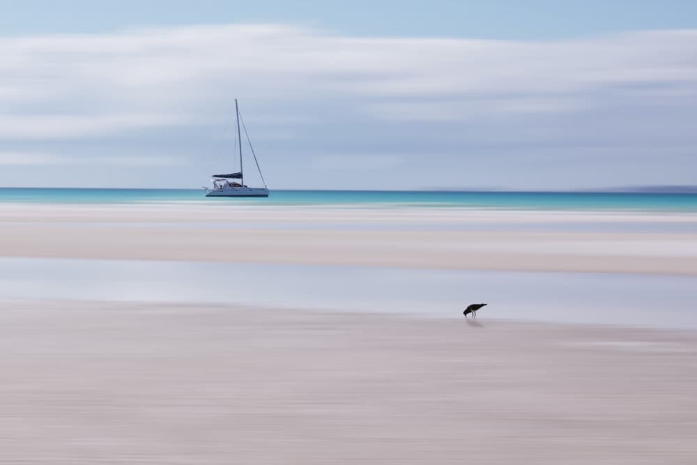 Sailboat on White Sand Beach by Frank Ma — canvas wall art