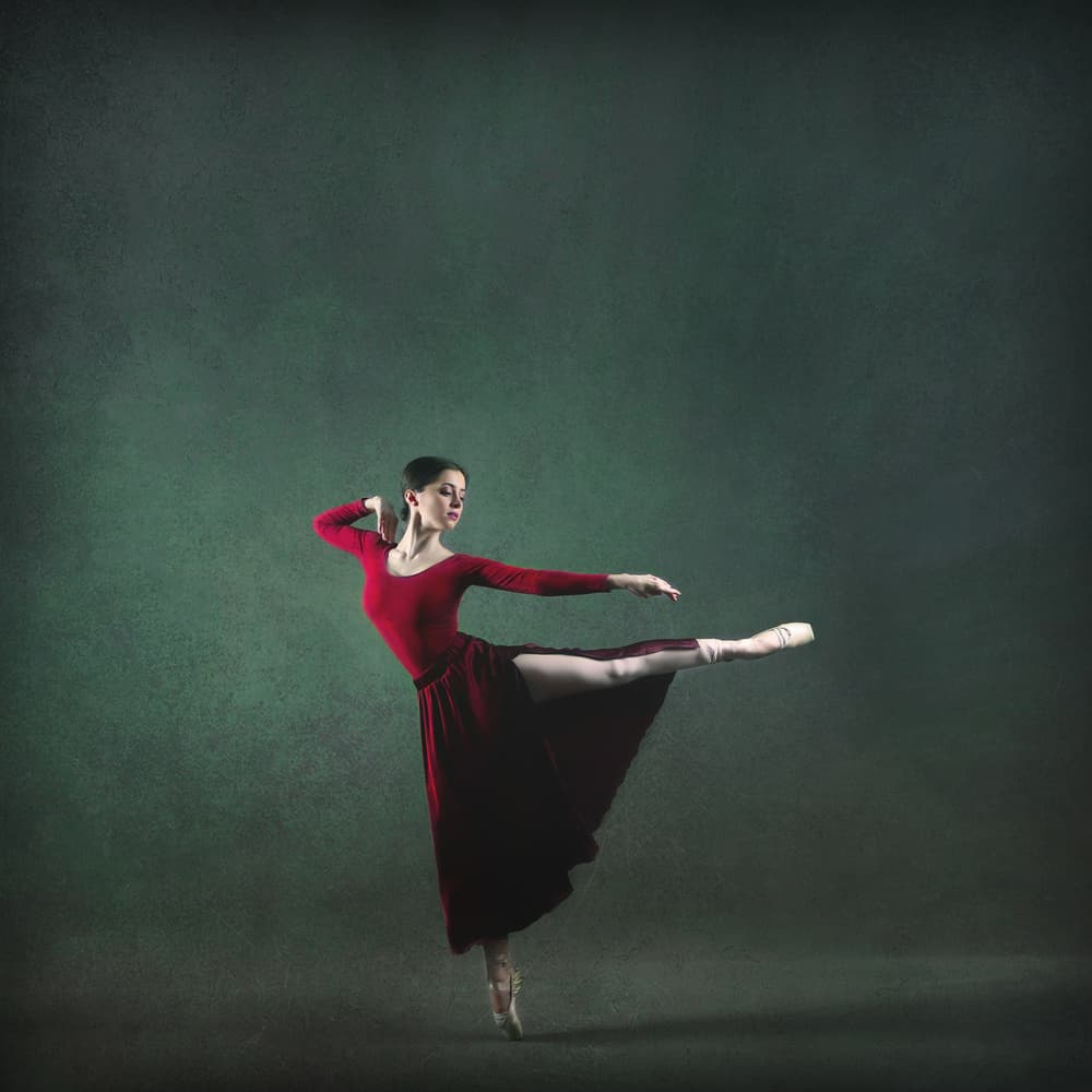 Graceful Ballet Dancer by Moein Hasheminasab — canvas wall art