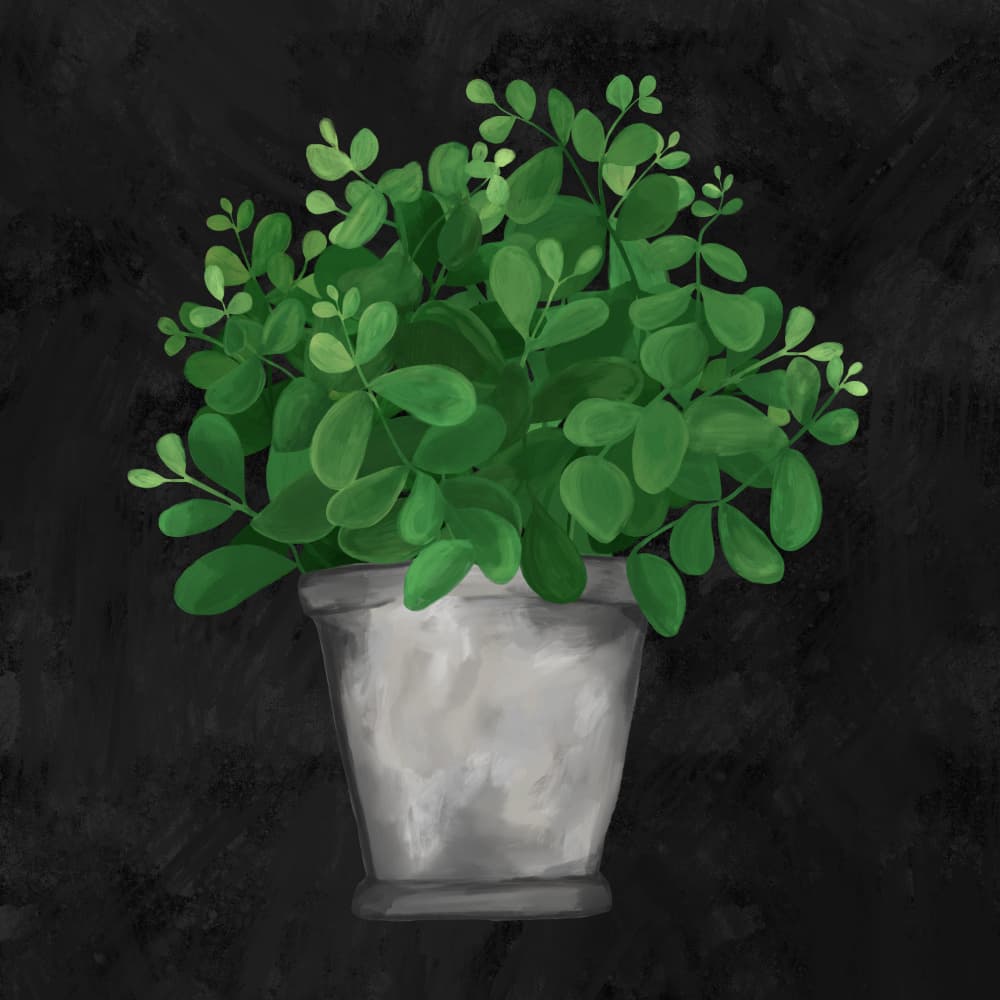 Lush Potted Plant by EMELIEmaria — canvas wall art