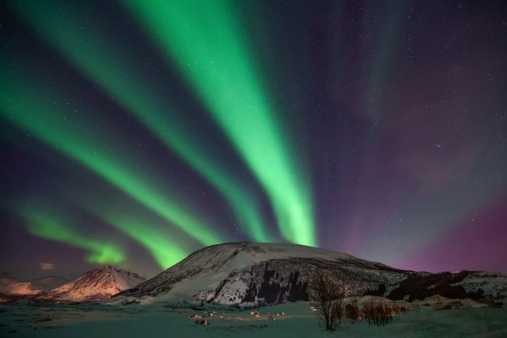 Dancing Green Aurora Sky by UU — canvas wall art
