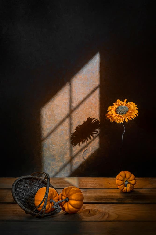 Autumn Pumpkins and Sunlight by Lydia Jacobs — canvas wall art