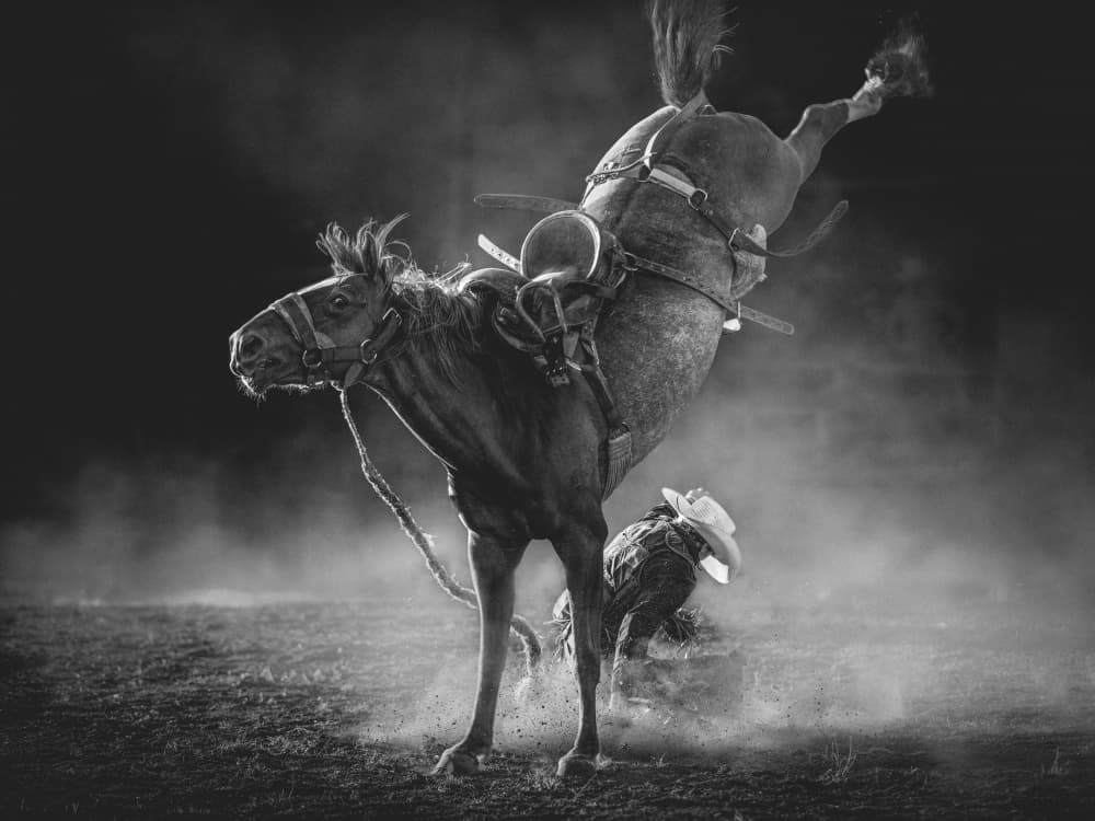 Rodeo Cowboy Action by Frank Ma — canvas wall art